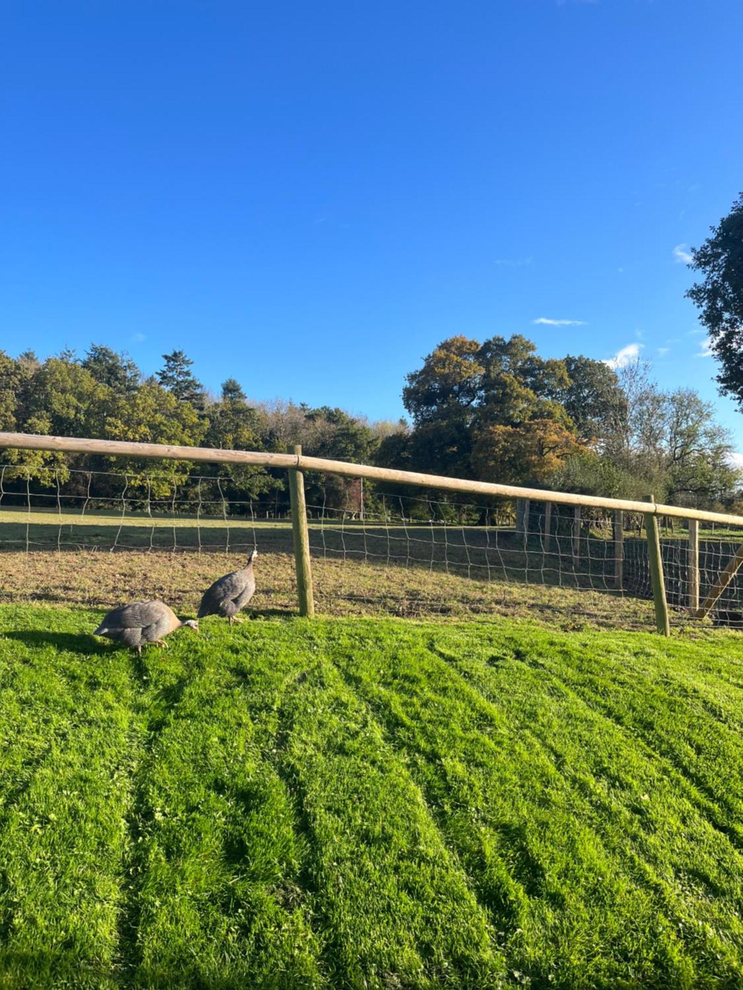 The Old Bull Pen Villa Abergavenny Luaran gambar